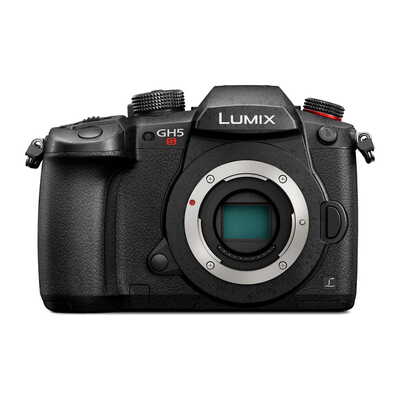 LUMIX ルミックス 一眼カメラ GH5S (ボディ) ブラック 〔DC-GH5S-K〕