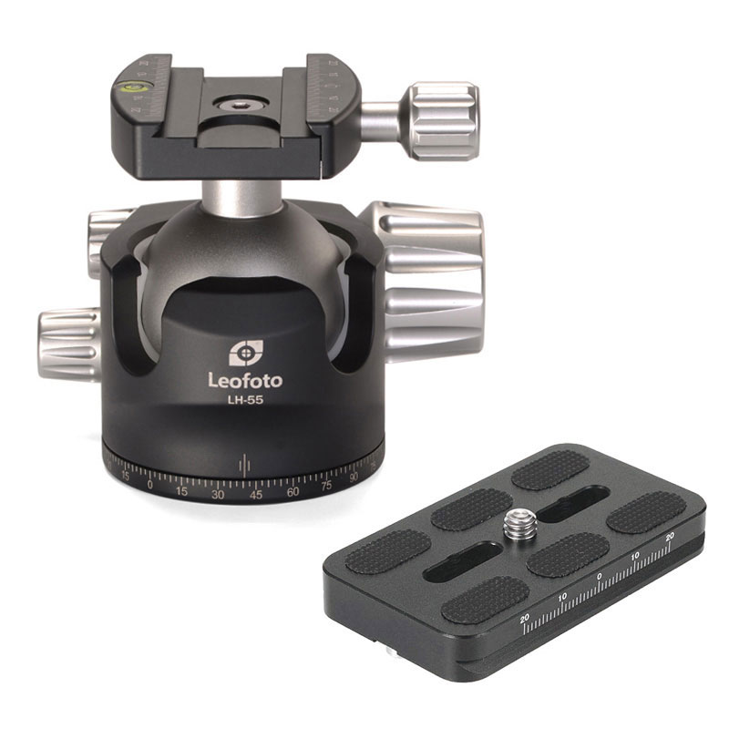 LH-55+QP-70
