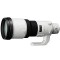 500mm F4 G SSM SAL500F40G