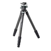 Carmagne N743 MT