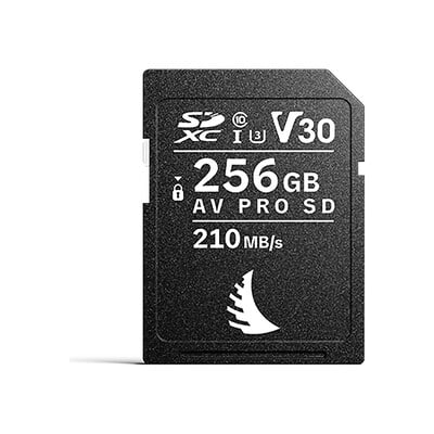 AV PRO SD V30 256GB AV256SDM2V30